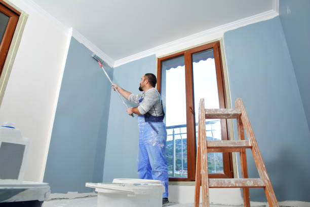 Reliable Solon, OH Mold Removal Solutions