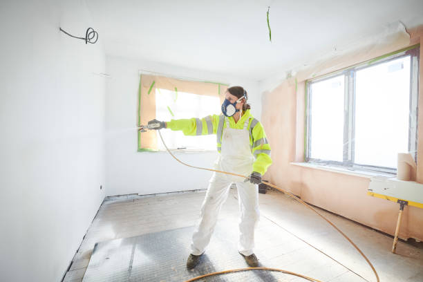 Best Water Damage & Mold Remediation  in Solon, OH