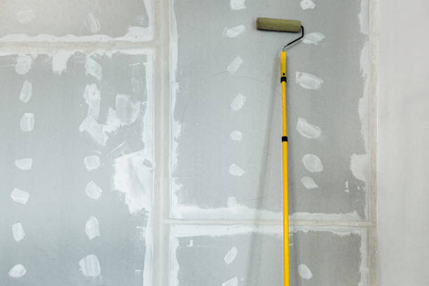 Best Real Estate Mold Inspection  in Solon, OH