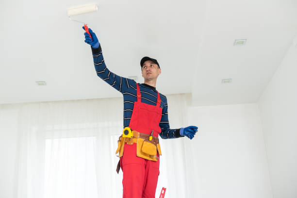 Best Mold Damage Restoration  in Solon, OH